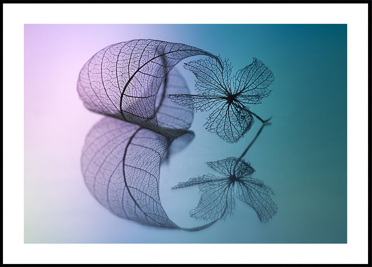 Histoire de feuille et de fleur Poster