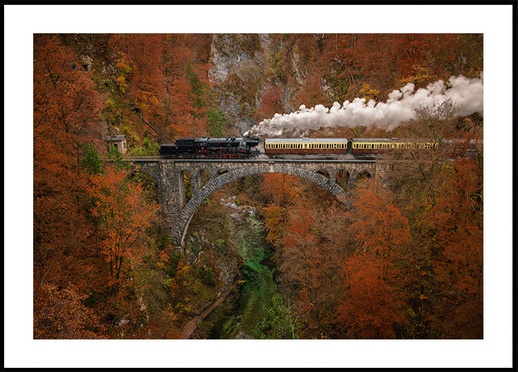 Train-musée Poster