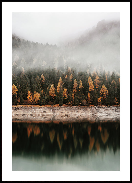 Affiche Reflets d'automne dans la forêt brumeuse