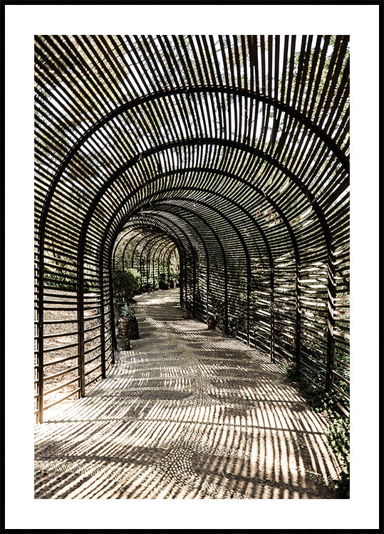 Jardin d’ombre Poster