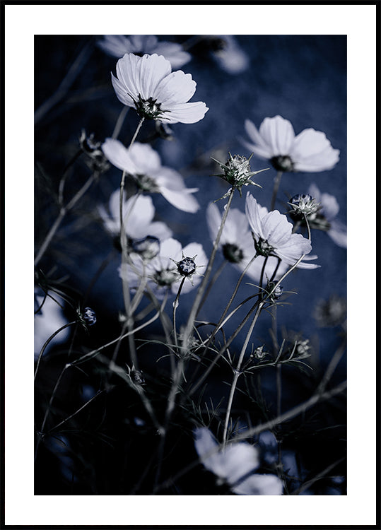 Fleurs sauvages 10