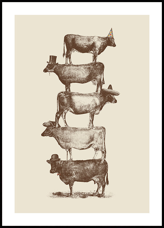 Vache Noix de vache Poster