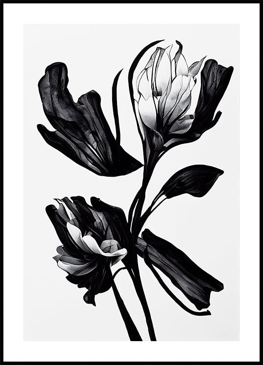 Fleur noire