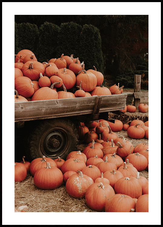 Affiche Délices de la récolte d'automne