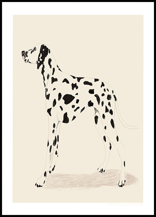Pandc Dalmatie Poster