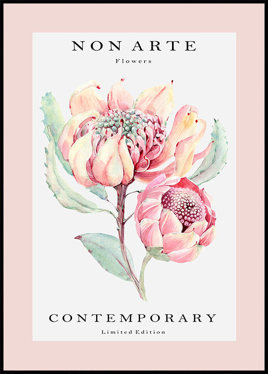 Fleur de rose Non Arte Poster