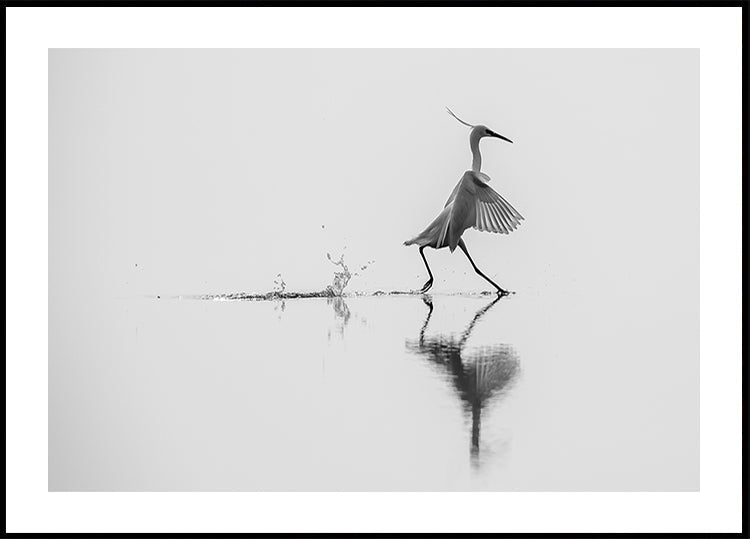 "Danser sur l'eau" Poster