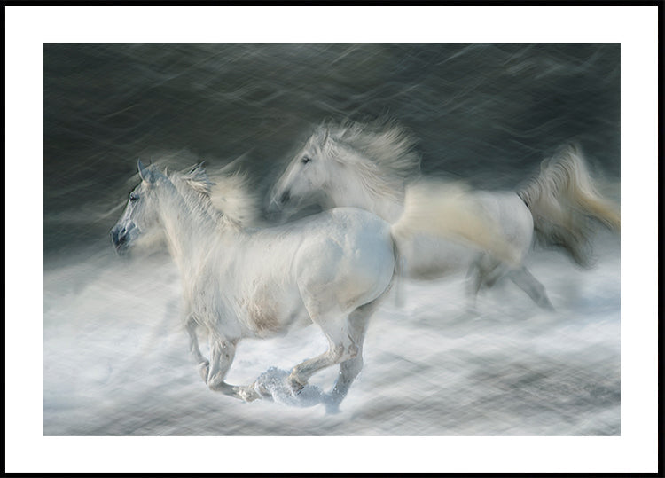 galoper dans un duel Poster