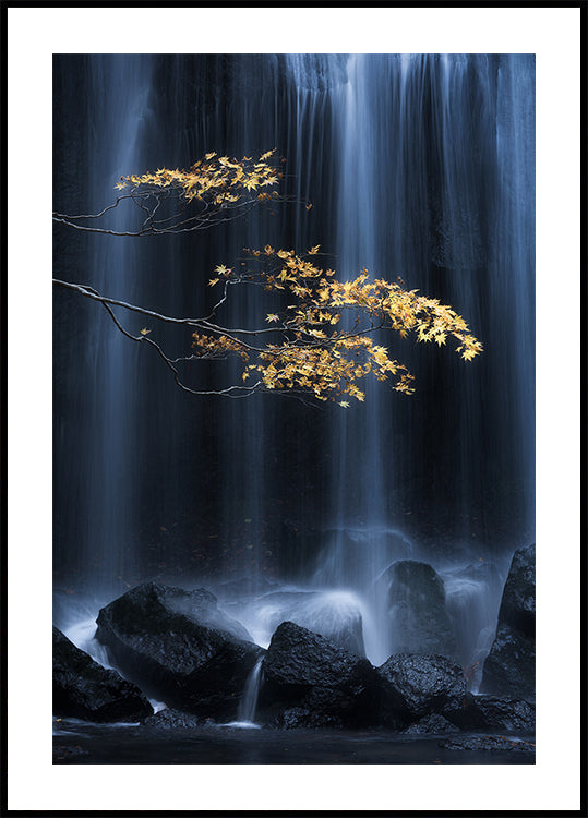 Automne jaune