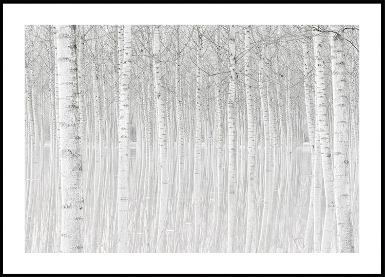 Arbres
