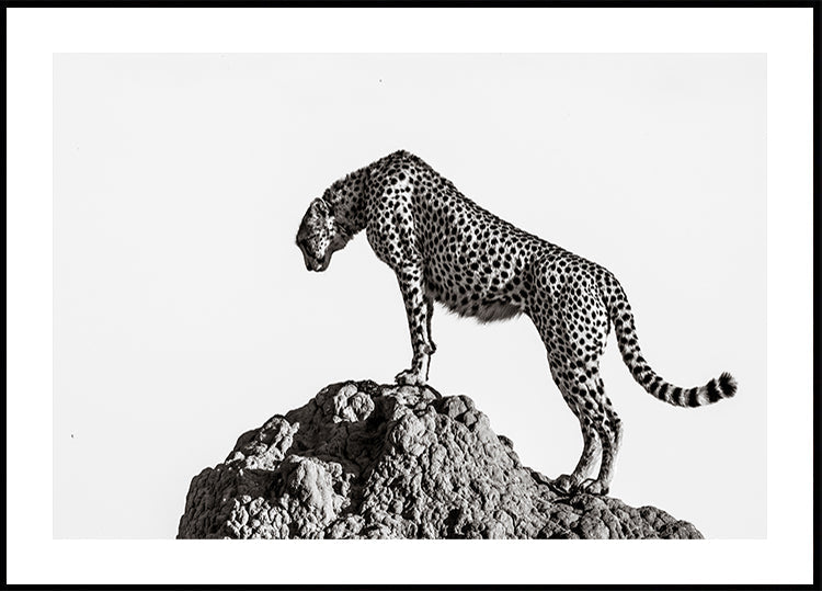 le chasseur