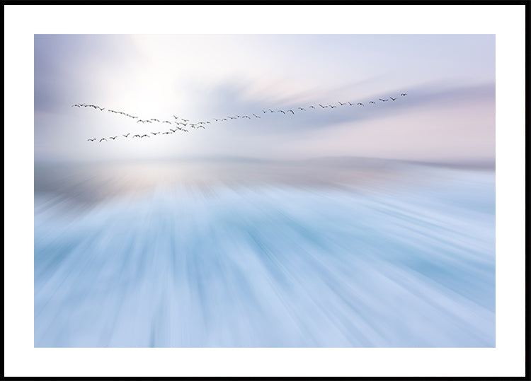 survoler Poster