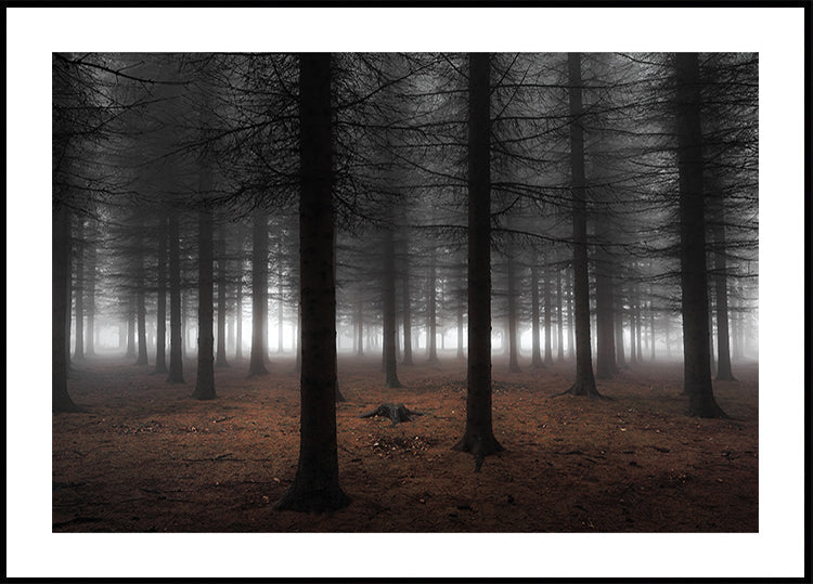 Silence