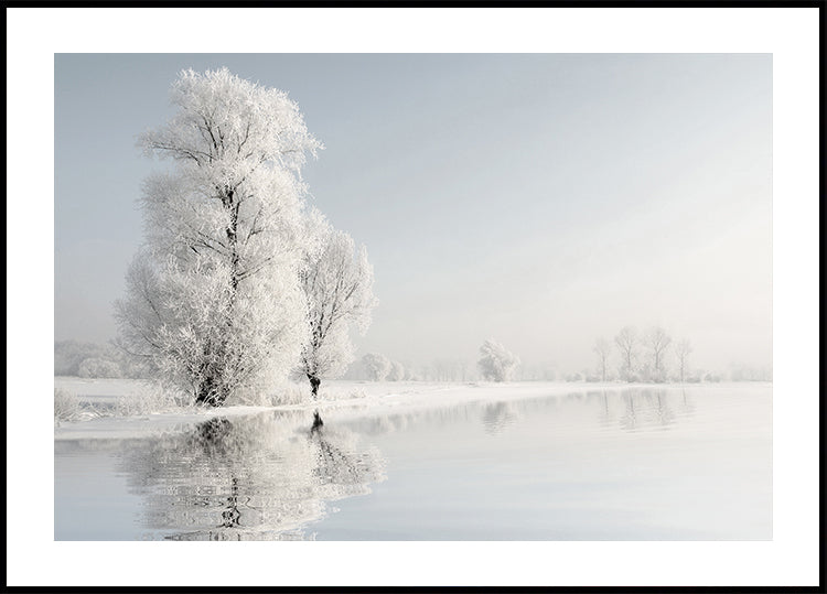 Affiche Arbre d'hiver givré n°2