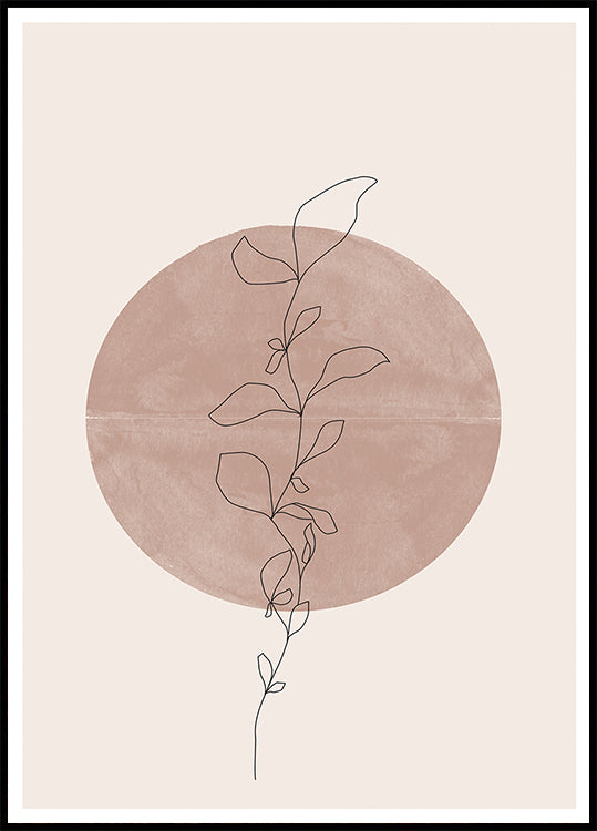 Cercle et vigne