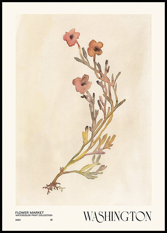 Collection d'impressions à l'aquarelle. Marché aux fleurs - Washington