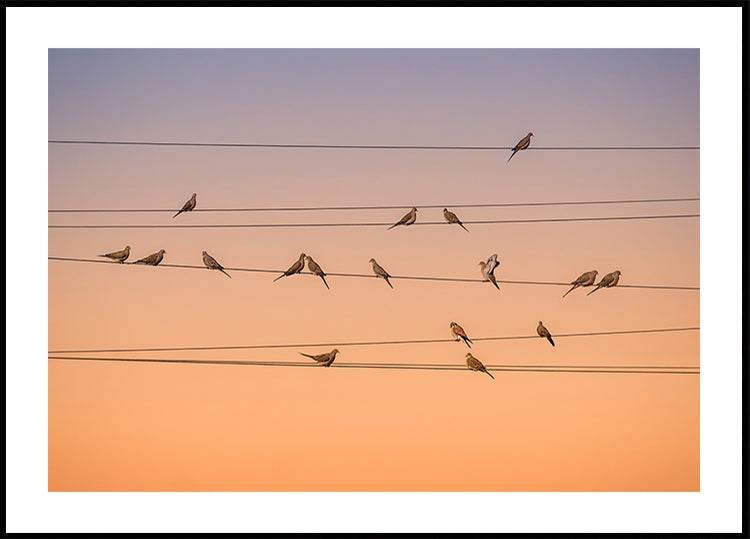 Musique de lumière