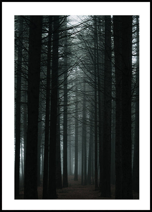 Affiche de la forêt sombre 