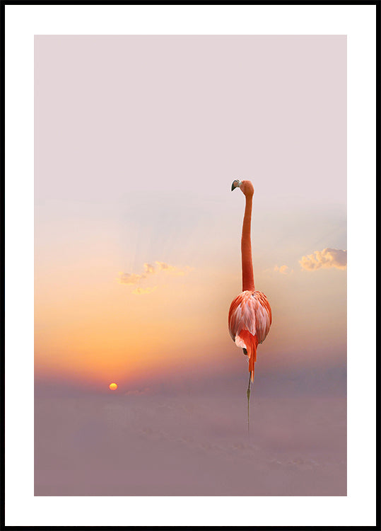 coucher de soleil...