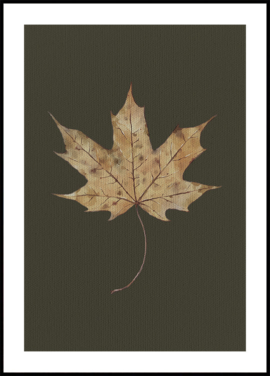 Aquarelle de feuille d'érable d'automne Poster