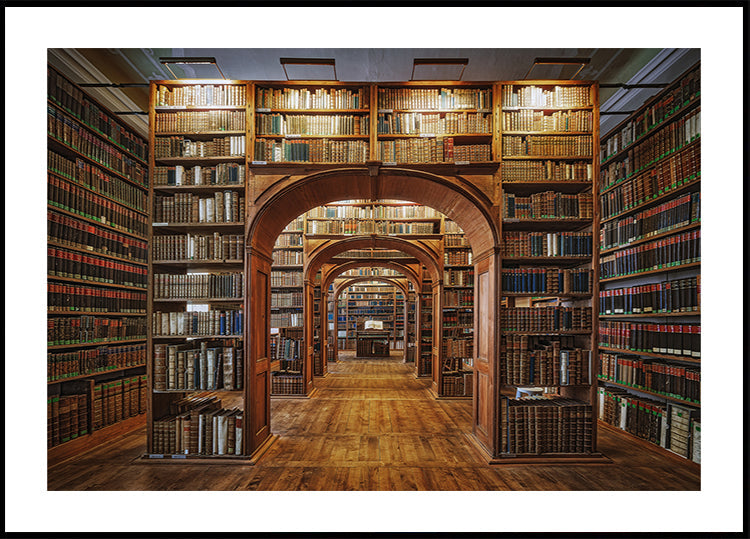 Bibliothèque des Sciences de Haute-Lusitzie Poster