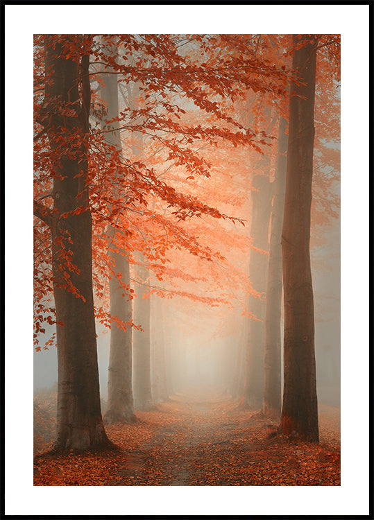 Rêve d'automne Poster