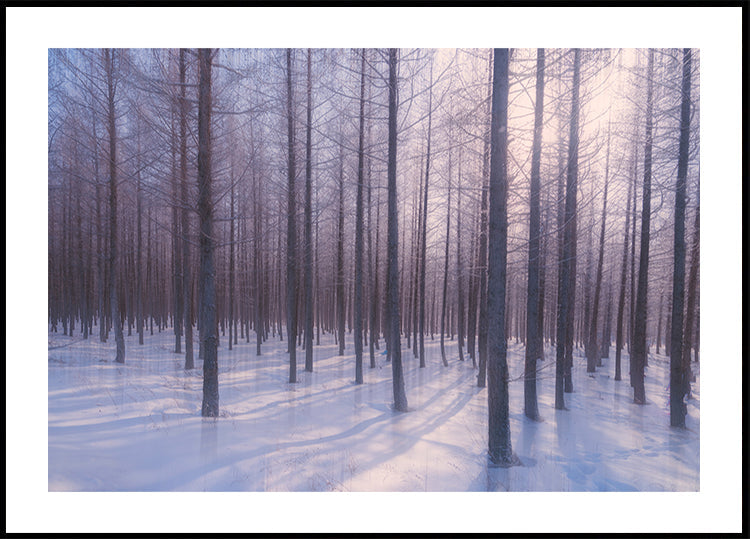 Silent Winter Symphony Plakat