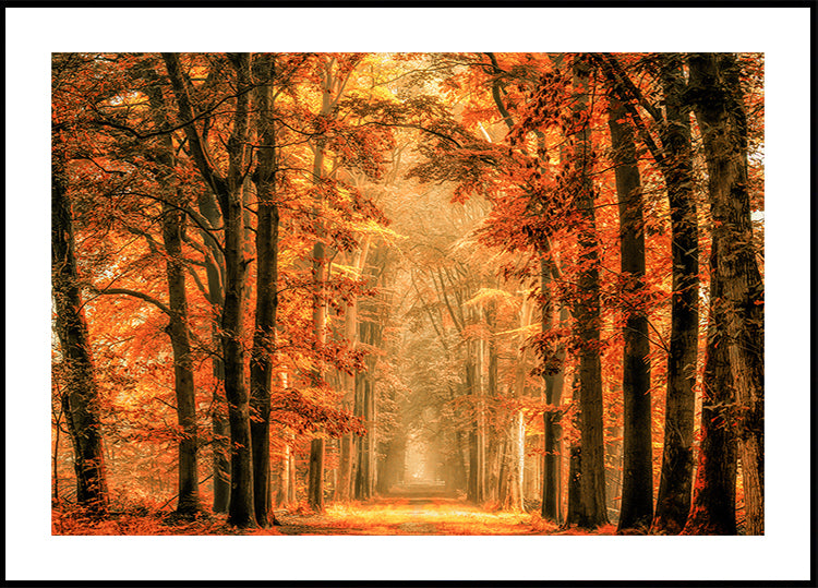 Quittez le portail Poster