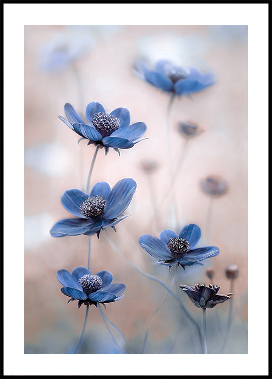 Bleu cosmos