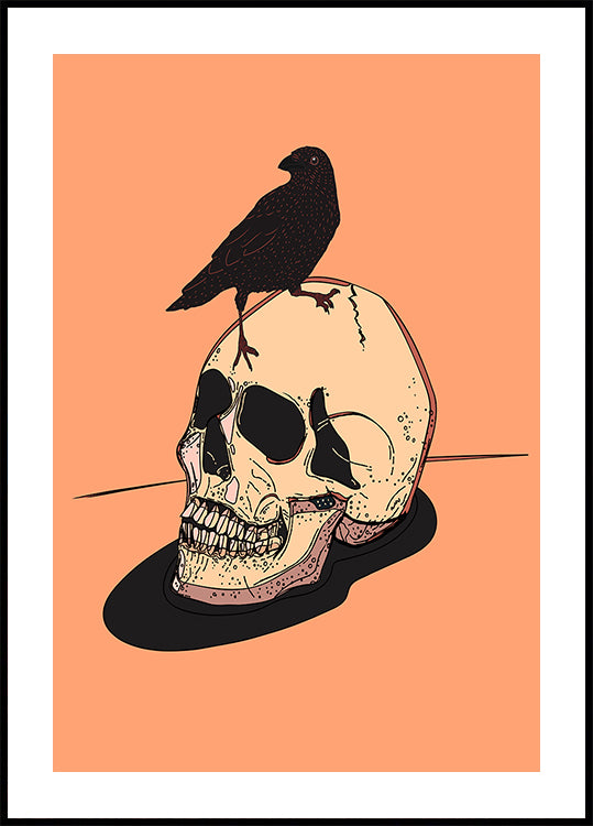 Crâne et corbeau Poster