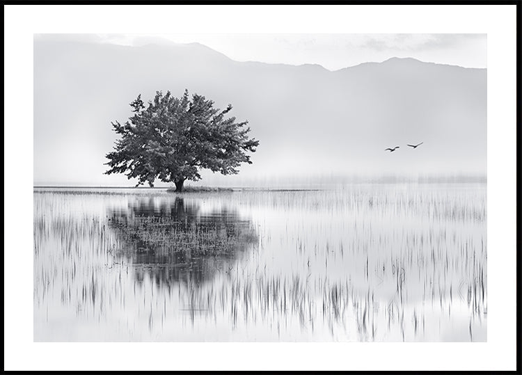 Miroir à ressort