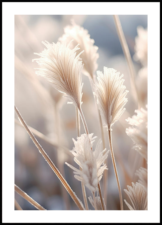 Élégance givrée Poster
