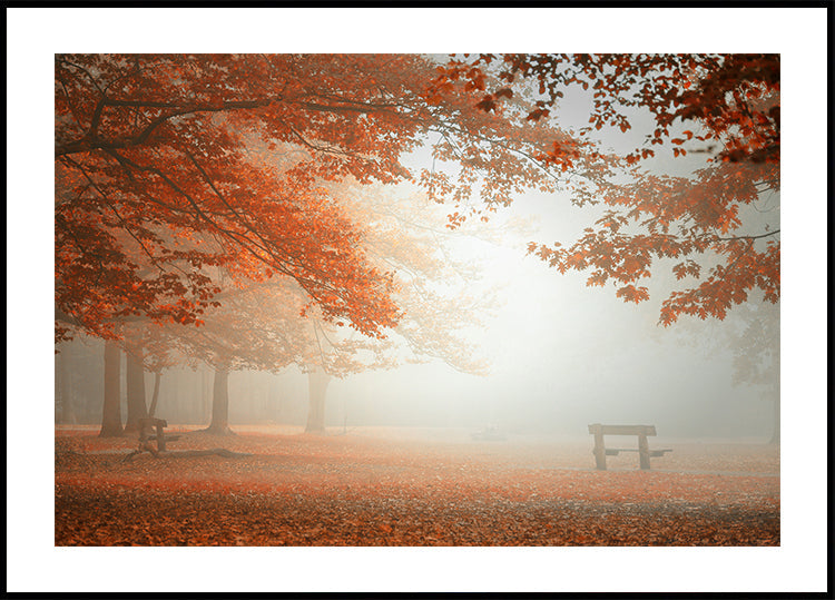 Les merveilles de la nature Poster