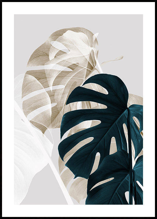 Monstera Créatif 05