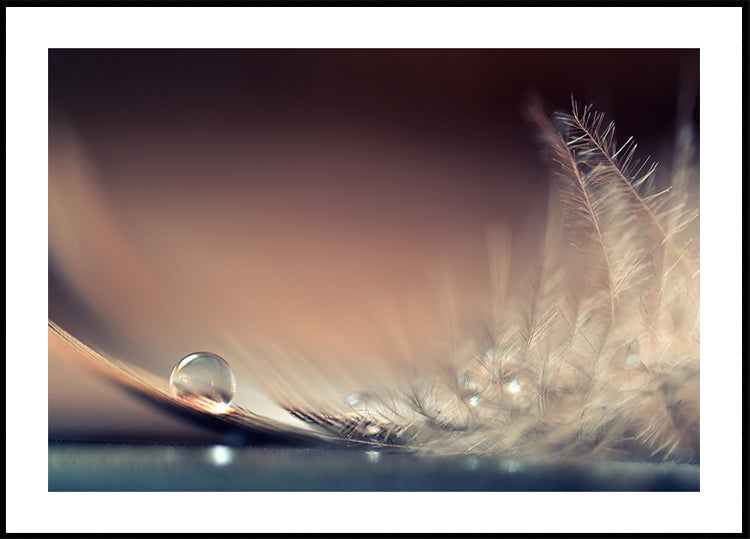 Histoires de gouttes