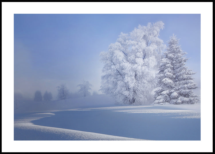 affiche croustillante du matin