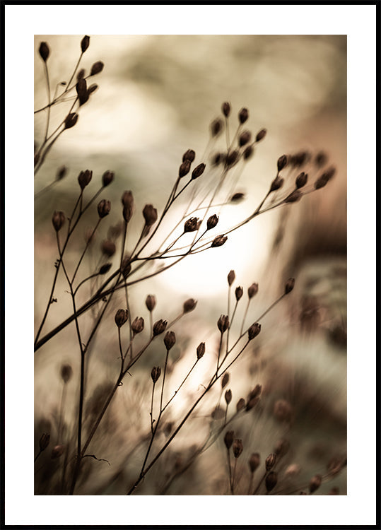 Lumières d'automne