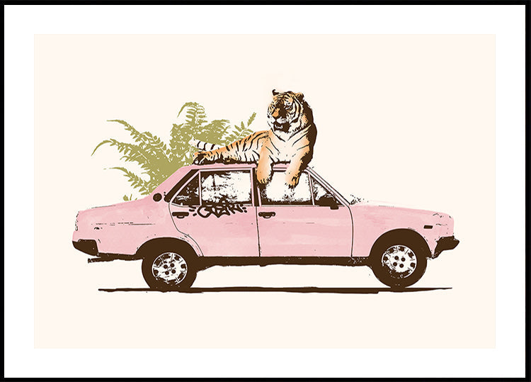 Tigre sur voiture