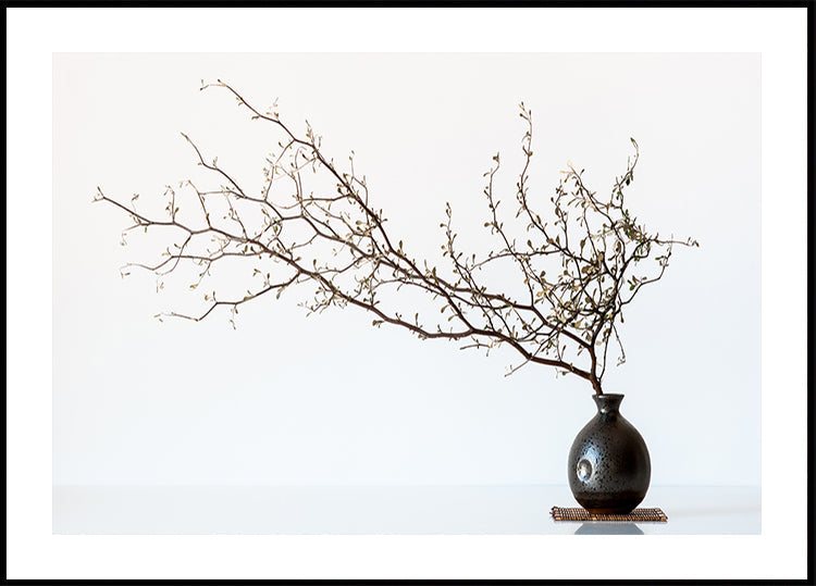 Vase Et Branche