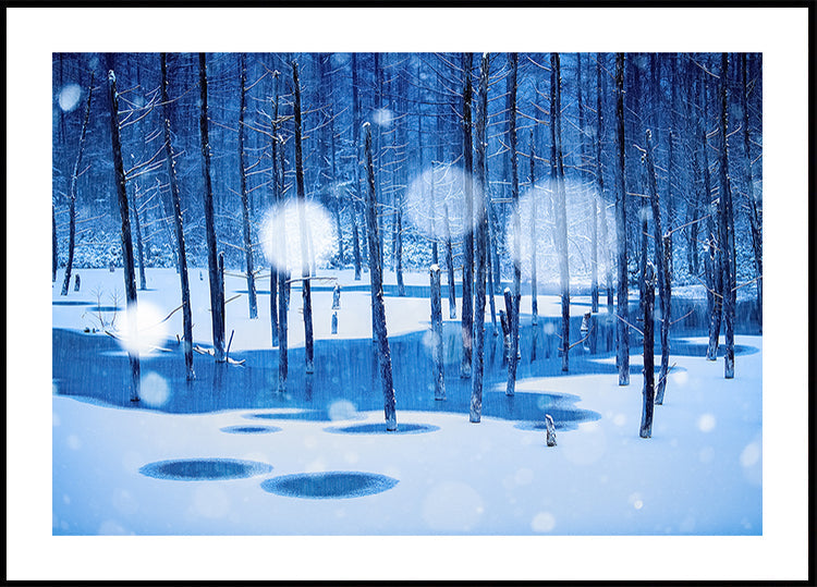 Pays des fées Poster