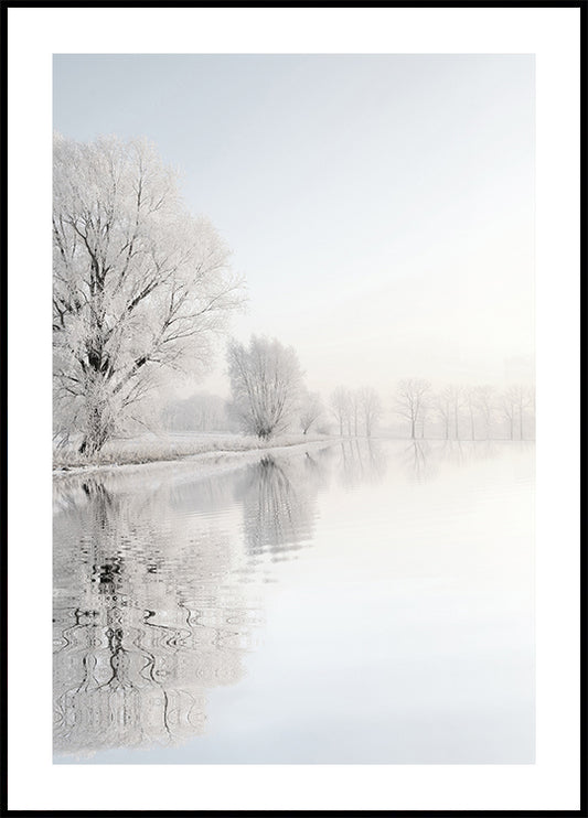 Affiche Arbre d'hiver givré n°1