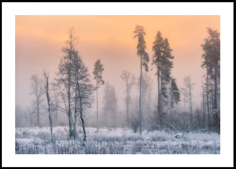 Matin glacial Poster