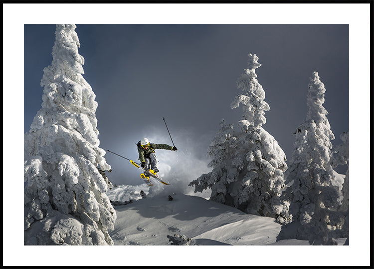 Le ski c'est la vie Poster