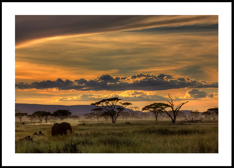 Afrique Affiche