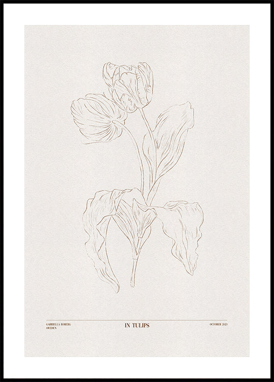 En tulipes (marron)
