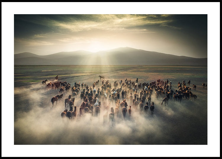 Chevaux sauvages Poster