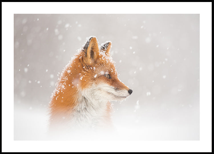 Snow is falling… Plakat