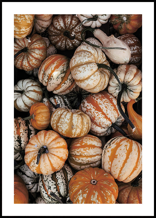 Vibrant Autumn Pumpkins Plakat - Posterbox.dk