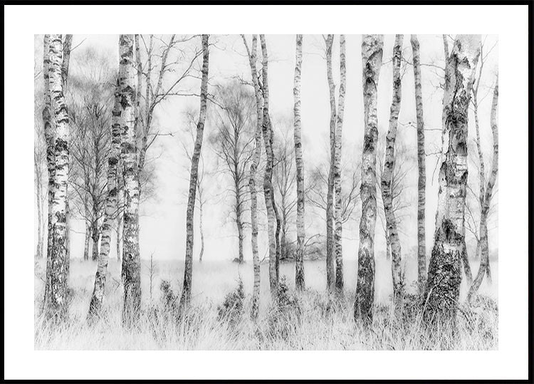 Noir et blanc