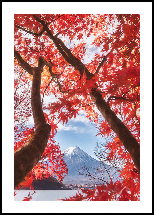 Le mont Fuji est dans les feuilles d'automne Poster